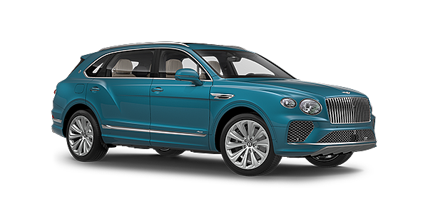 新品未使用　ブランドBENTLEY size 40cm ベントレー ベンテイガ W12 オプション総額1000万円 マリナー